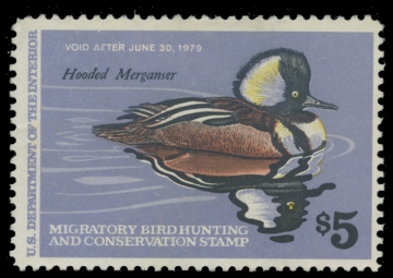 Scan of RW45 1978 Duck Stamp. Unsigned. F-VF 