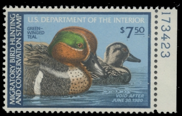 Scan of RW46 1979 Duck Stamp. MNH. F-VF 