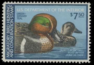 Scan of RW46 1979 Duck Stamp. MNH. F-VF 