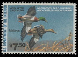 Scan of RW47 1980 Duck Stamp. MNH. F-VF 