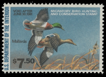 Scan of RW47 1980 Duck Stamp. MNH. F-VF 