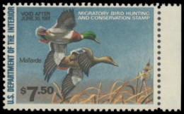 Scan of RW47 1980 Duck Stamp. MNH. F-VF 