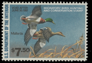 Scan of RW47 1980 Duck Stamp. MNH. F-VF 