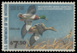 Scan of RW47 1980 Duck Stamp. Unsigned. F-VF 