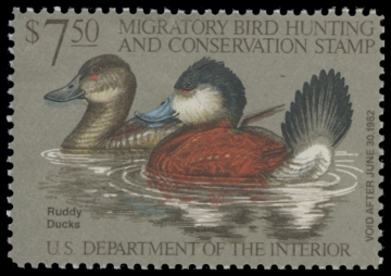 Scan of RW48 1981 Duck Stamp. MLH. F-VF 