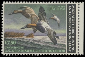 Scan of RW49 1982 Duck Stamp. MLH. F-VF 