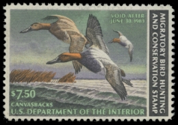 Scan of RW49 1982 Duck Stamp. Unsigned. F-VF 