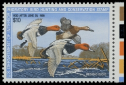 Scan of RW54 1987 Duck Stamp. MNH. F-VF 