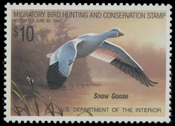 Scan of RW55 1988 Duck Stamp. MNH. F-VF 