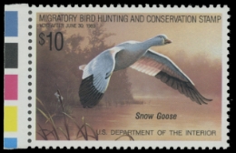 Scan of RW55 1988 Duck Stamp. MNH. VF 