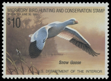 Scan of RW55 1988 Duck Stamp. MLH. VF 