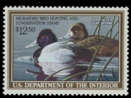 Scan of RW56 1989 Duck Stamp. MNH. F-VF 