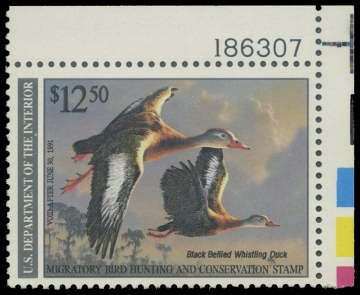 Scan of RW57 1990 Duck Stamp. MLH. F-VF 