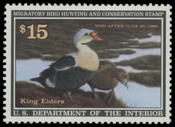 Scan of RW58 1991 Duck Stamp. MLH. VF 