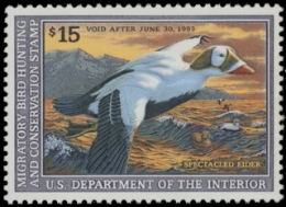 Scan of RW59 1992 Duck Stamp. MNH. F-VF 