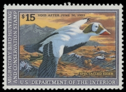 Scan of RW59 1992 Duck Stamp. MNH. F-VF 