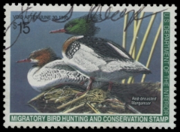 Scan of RW61 1994 Duck Stamp. Used. VF 