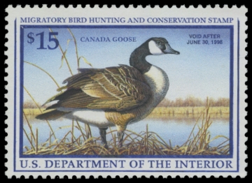 Scan of RW64 1997 Duck Stamp. MLH. VF 