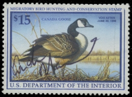 Scan of RW64 1997 Duck Stamp. Used. VF 