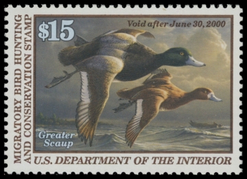 Scan of RW66 1999 Duck Stamp. MNH. VF 