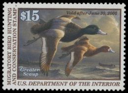 Scan of RW66 1999 Duck Stamp. MNH. VF 