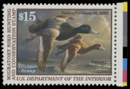 Scan of RW66 1999 Duck Stamp. MNH. VF 