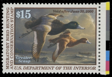 Scan of RW66 1999 Duck Stamp. MNH. VF 