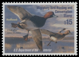 Scan of RW71 2004 Duck Stamp. MNH VF