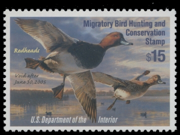 Scan of RW71 2004 Duck Stamp. MNH VF