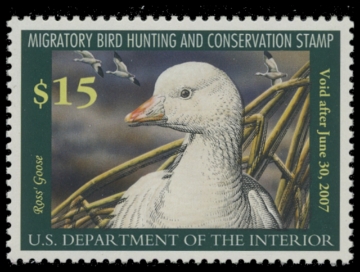 Scan of RW73 2006 Duck Stamp  MNH XF