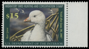 Scan of RW73 2006 Duck Stamp. MNH F-VF