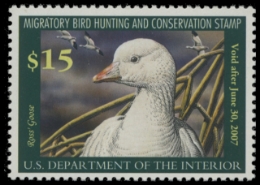 Scan of RW73 2006 Duck Stamp. MNH F-VF