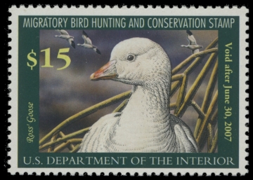 Scan of RW73 2006 Duck Stamp. MNH F-VF