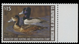 Scan of RW74 2007 Duck Stamp. MNH F-VF