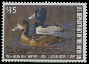 Scan of RW74 2007 Duck Stamp. MNH F-VF