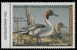 Scan of RW75 2008 Duck Stamp. MNH F-VF