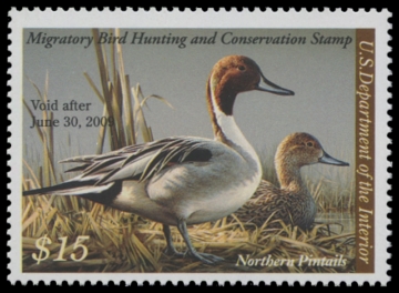 Scan of RW75 2008 Duck Stamp. MNH F-VF