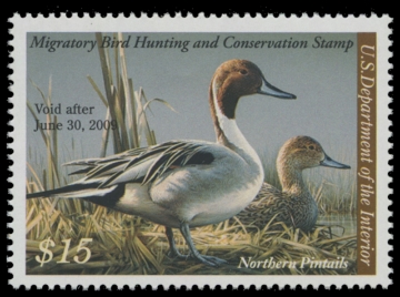 Scan of RW75 2008 Duck Stamp. MNH F-VF