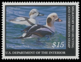 Scan of RW76 2009 Duck Stamp. MNH XF