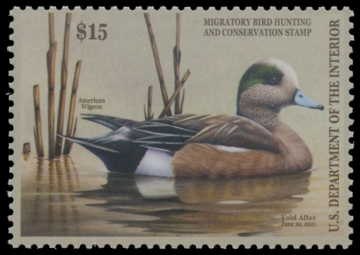 Scan of RW77 2010 Duck Stamp 