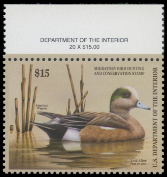 Scan of RW77 2010 Duck Stamp. MNH