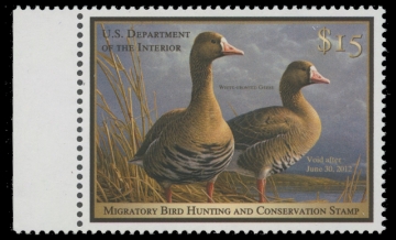 Scan of RW78 2011 Duck Stamp 