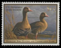 Scan of RW78 2011 Duck Stamp 