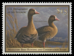 Scan of RW78 2011 Duck Stamp 