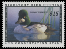 Scan of RW80 2013 Duck Stamp 