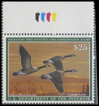 Scan of RW84 2017 Duck Stamp. MNH 