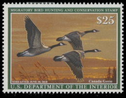 Scan of RW84 2017 Duck Stamp. MNH 