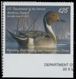 Scan of RW91 2024 Duck Stamp 