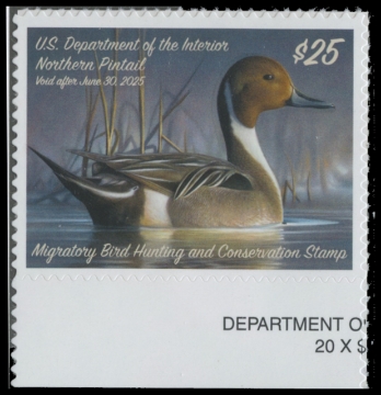 Scan of RW91 2024 Duck Stamp 