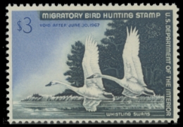 Scan of RW33 1966 Duck Stamp. MNH